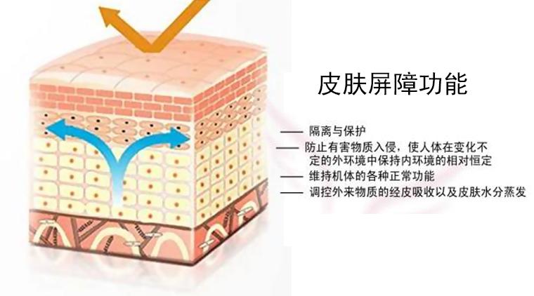 皮肤专题2:关于皮肤屏障功能的5个真相