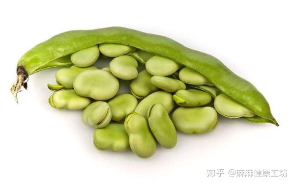 蚕豆还有益气健脾,利湿消肿等功效,特别适合暑热和湿气重的夏季食用.