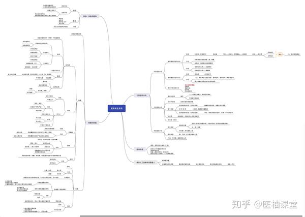 组织学与胚胎学 思维导图分享