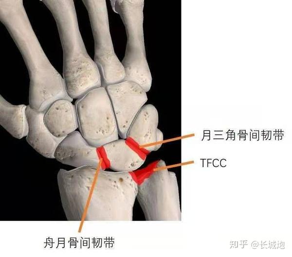 tfcc手腕三角软骨复合体科普