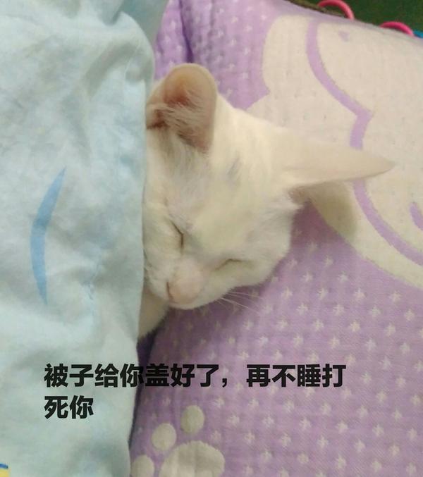 我喜欢拿她当表情包,这张图越看越萌,真的!