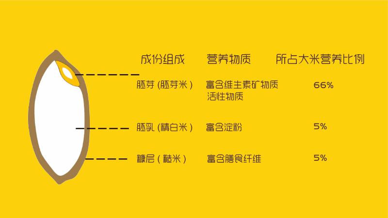 糙米胚芽米精白米的区别