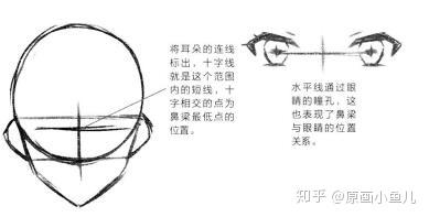 超强干货头部五官画法大全从0开始全方位解析脸部及眼睛嘴巴耳朵画法