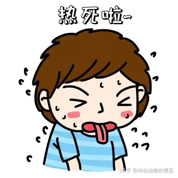 这几个部位出汗,别以为只是热,可能在暗示什么.