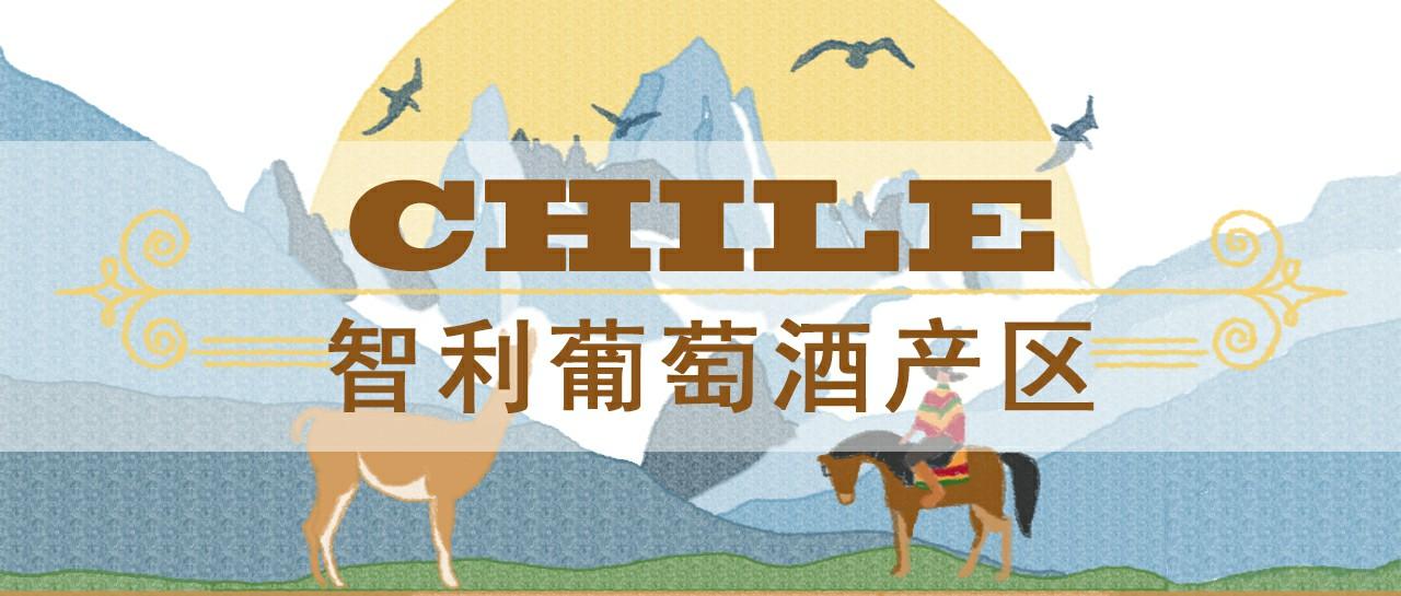 智利葡萄酒产区你知道吗?(一)