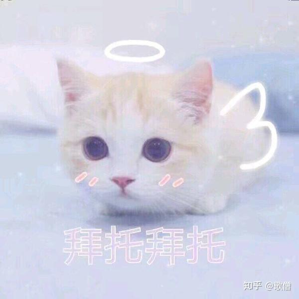 有什么适用于和老公/男票撒娇的可爱表情包?