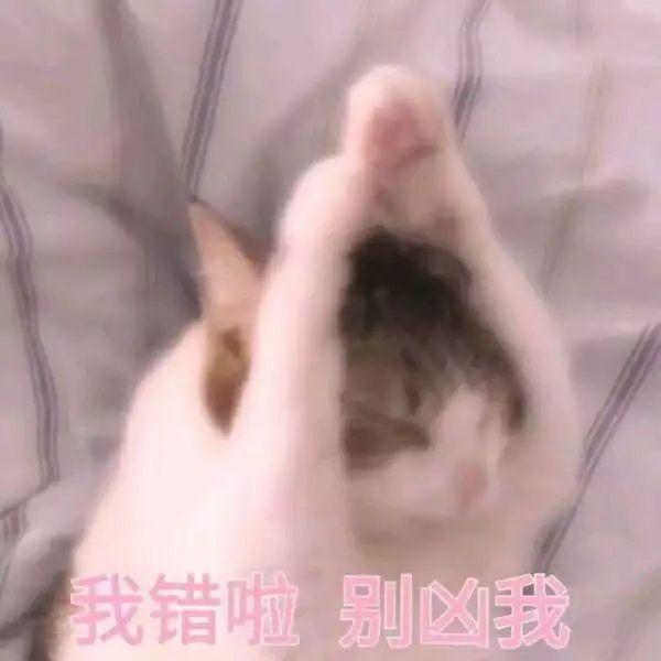 有哪些可以哄女朋友的表情包?