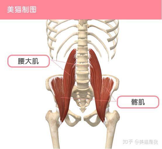 你不能久坐久站,可能是腰肌劳损,如何辨别和缓解?