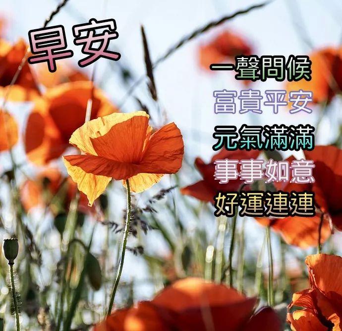 7月11日问候早上好图片带字动态表情早上好图片问候祝福语句子