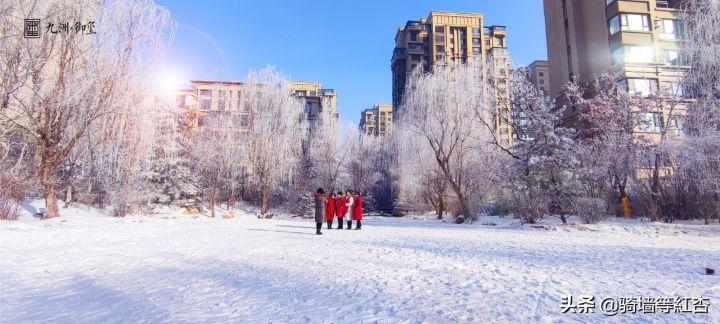 醉美沈阳沈阳雾凇美如画你家园区景色上榜了没