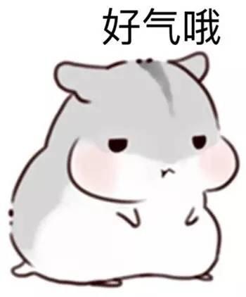 一个人很糗很倒霉是种什么样的体验?