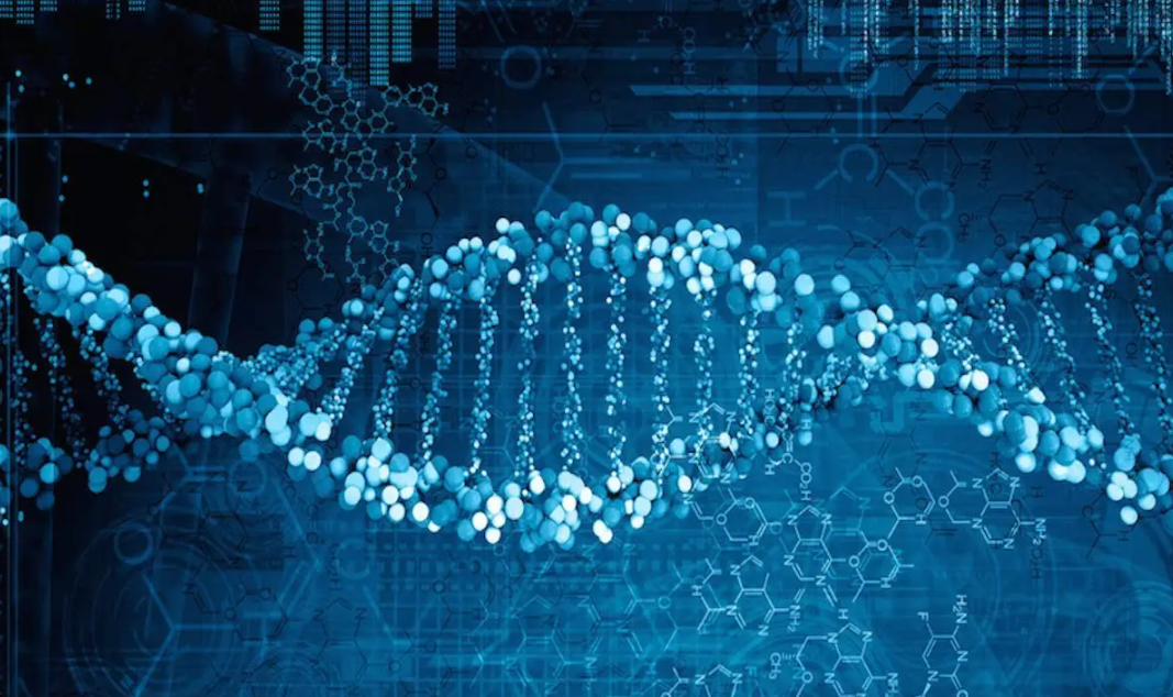 一种多用途深度学习方法用于CITE seq和单细胞RNA seq数据与细胞表面蛋白预测和插补的集成 知乎