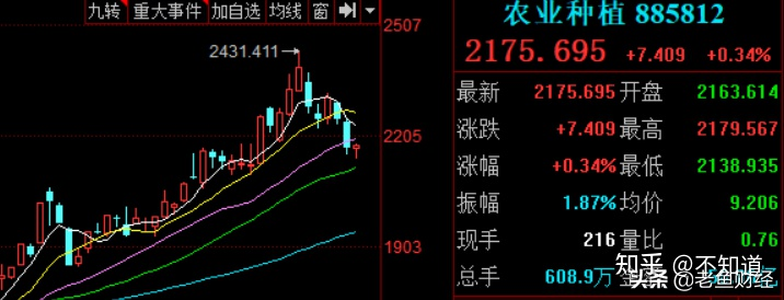 农业龙头股有哪些股票(农业龙头股散户还能买吗)