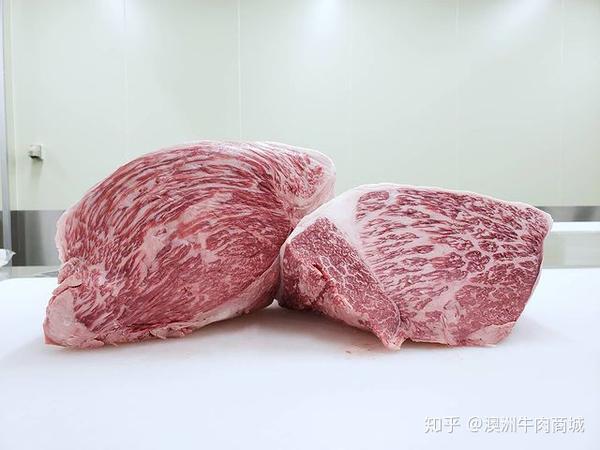 专业牛各部位实拍牛肉分割图