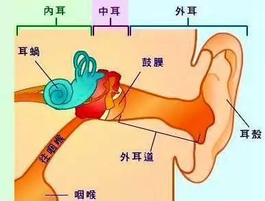 40天的宝宝先天性耳聋,在孕期这件事千万不能做!