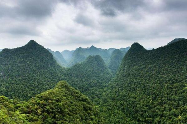 地球腰带上的绿宝石,贵州荔波的原始森林 ,你想去猎奇探胜吗?