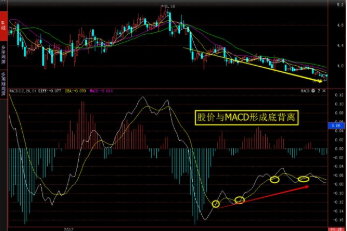 外汇技术macd指标与k线组合应用技巧之头肩顶macd顶背离