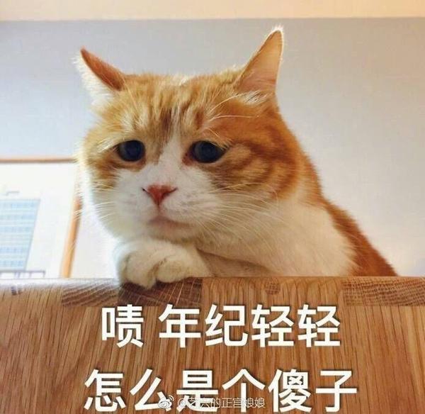 哪个瞬间你觉得自己很蠢?