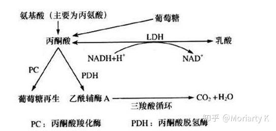 乳酸性酸中毒