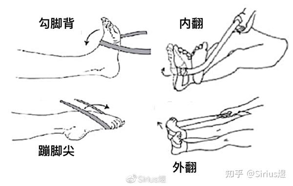 脚踝扭伤之后你该尽早功能恢复,还是保持静养?