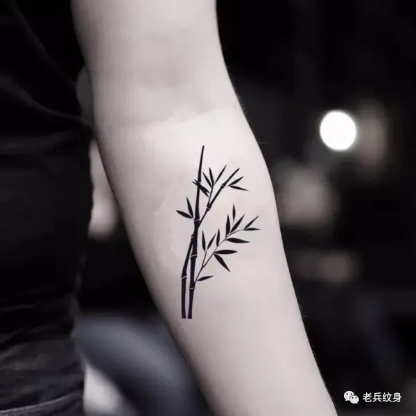 纹身素材——竹子纹身图案
