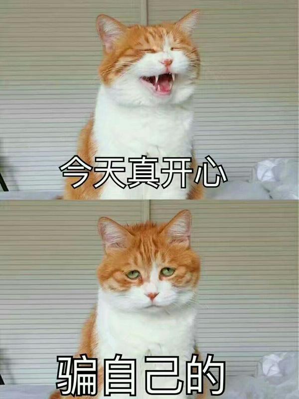有没有像这样看透了人性厌倦了虚伪的表情包?