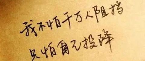 纯专科直接考研211成功上岸