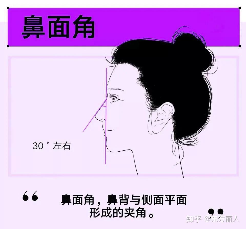 东方|鼻部美学标准