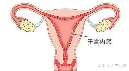 我的妈呀子宫内膜薄能正常怀孕吗影响怀孕吗?