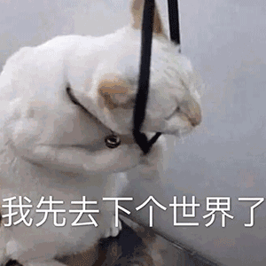 一组超有意思的沙雕表情包:好想关心你,可你老是不生病