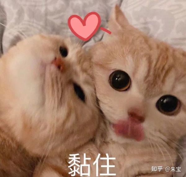 可爱萌萌表情包