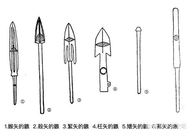 矰矢,茀矢用諸弋射.