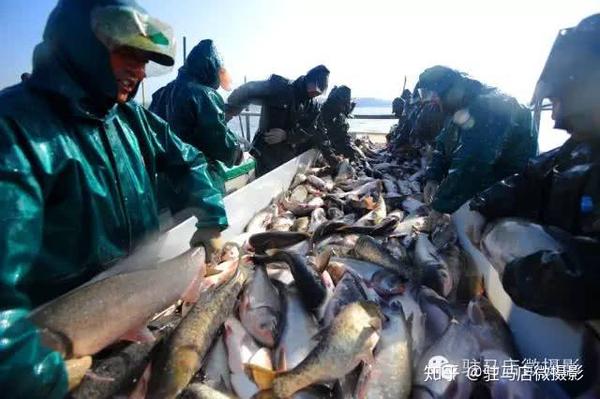 汝南县四大班子领导等参加仪式.