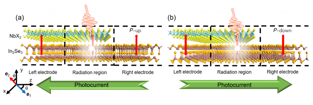 铁电调控的双向光响应器件基于Van der Waals α In2Se3 NbX2 X S Se和Te 铁电二极管 知乎