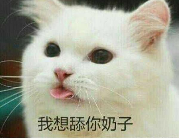 你讨厌表情包吗为什么