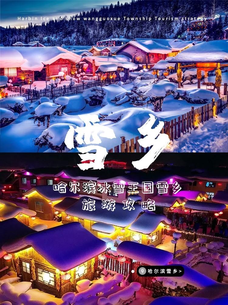 这里就是著名的——中国雪乡