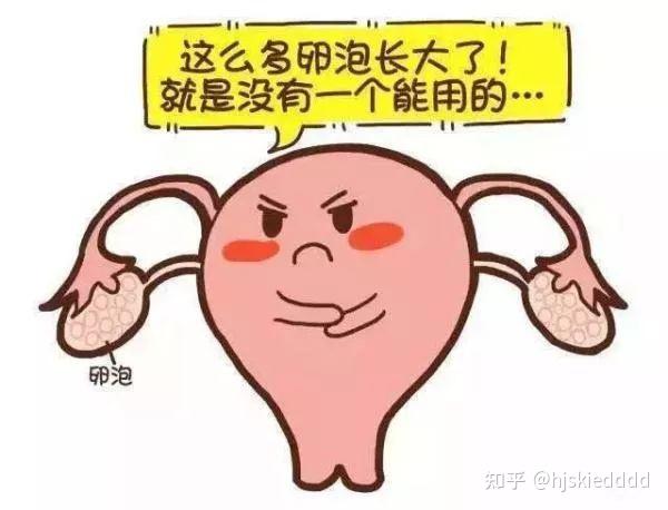 兰州天伦:多囊女性想要怀孕应该怎么做?