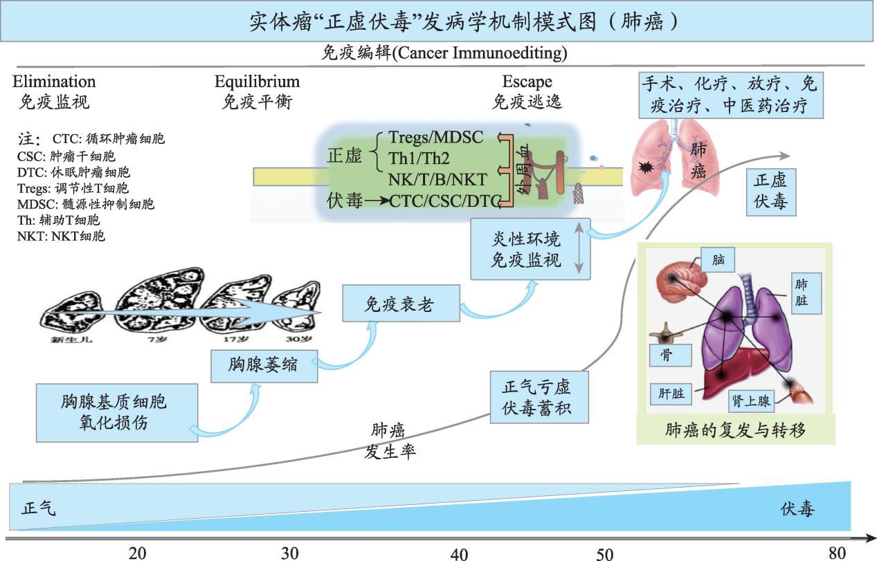 因此,肺癌患者病情能否得到控制,或者复发转移也取决于正邪斗争的结果