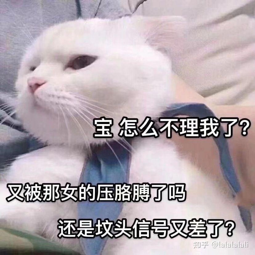 别以为我变成小猪没事,快过年了,谁都想带一头小猪回家lalalalali