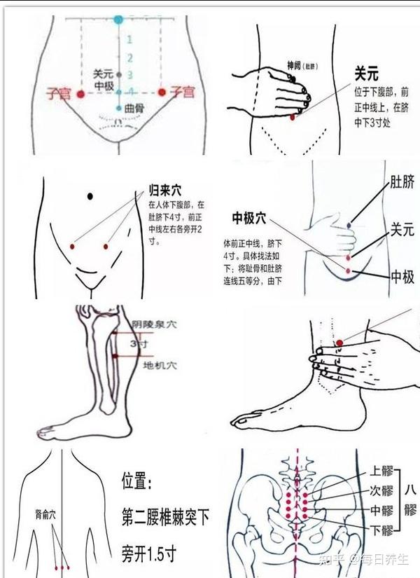 「枢之道科普」痛经可以按什么穴位?