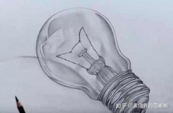 素描基础小教程花卉日落灯泡