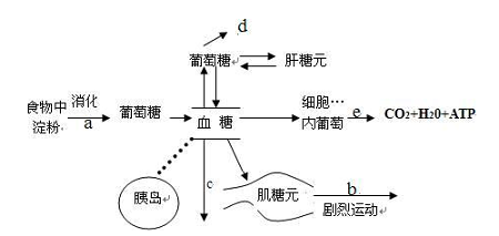 糖尿病的病因尚未完全阐明,是一种复合病因所致的综合征,与遗传,自身