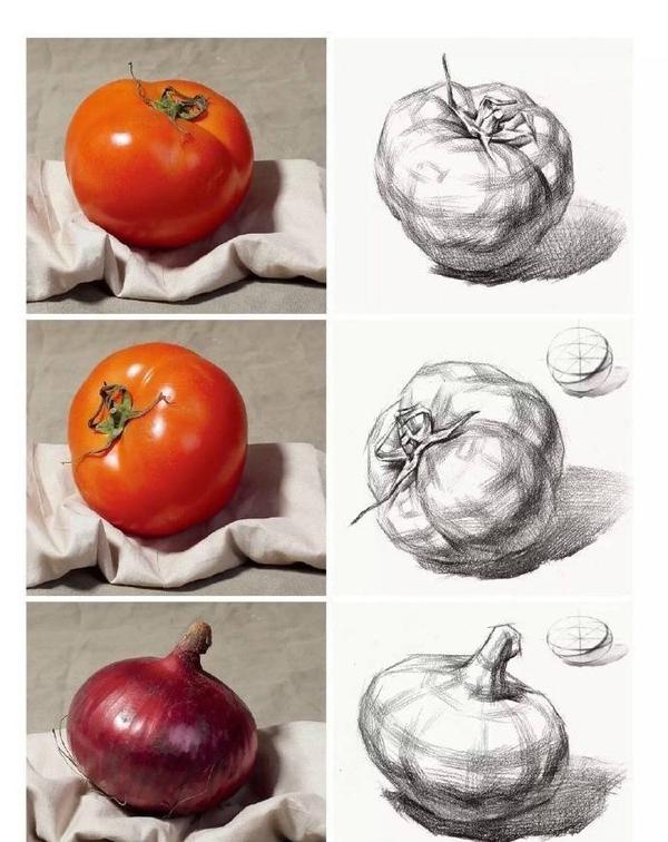 水果静物素描之西红柿画法及步骤讲解