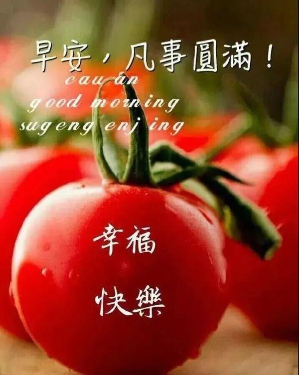 星期二的早晨好问候语表情带字图片周二早上好图片表情大全