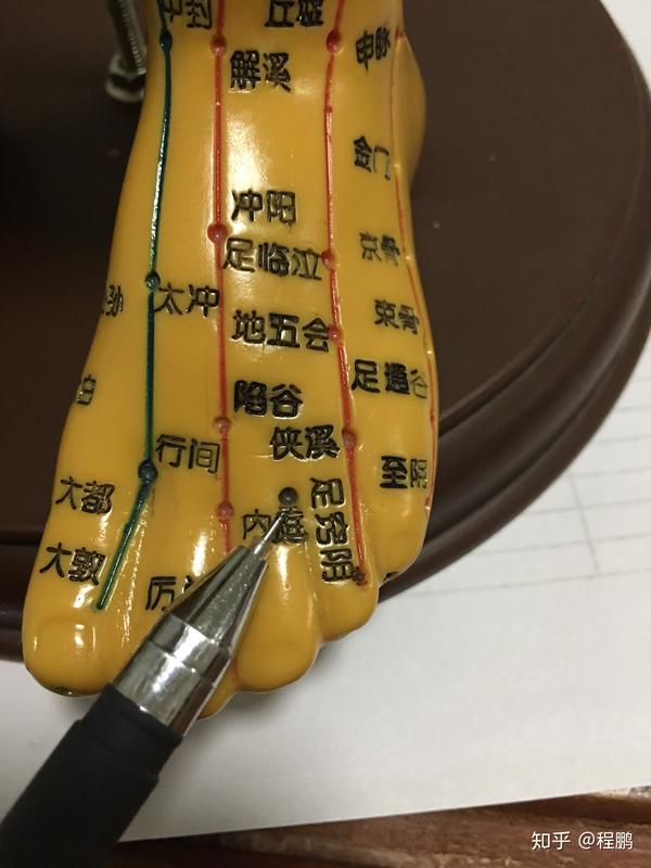 这个穴"面口合谷收",凡是面口的疾患,都可找合谷,所以调理牙疼也不能