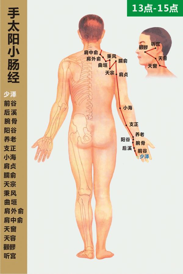 人体经络穴位知识汇总