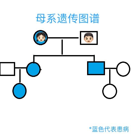 水母君画了个 母系遗传的图谱,p图水平渣渣,烦请各位看官多多包涵!