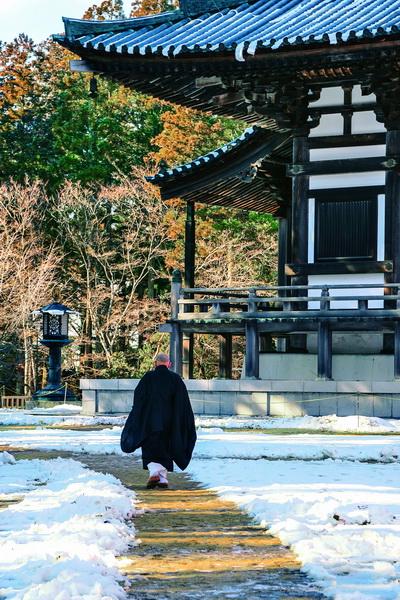 禅中莲花盛开:日本曹洞宗道元禅师传奇电影《禅》