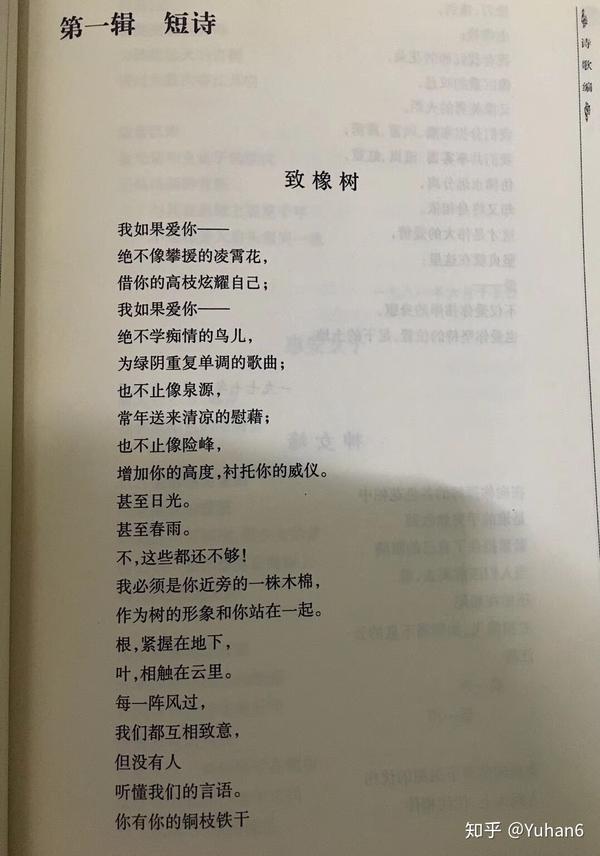 《致橡树》书