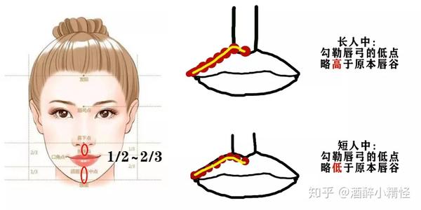 决定了整个唇弓的走势,而判断这个位置,需要引入一个新的部位:人中